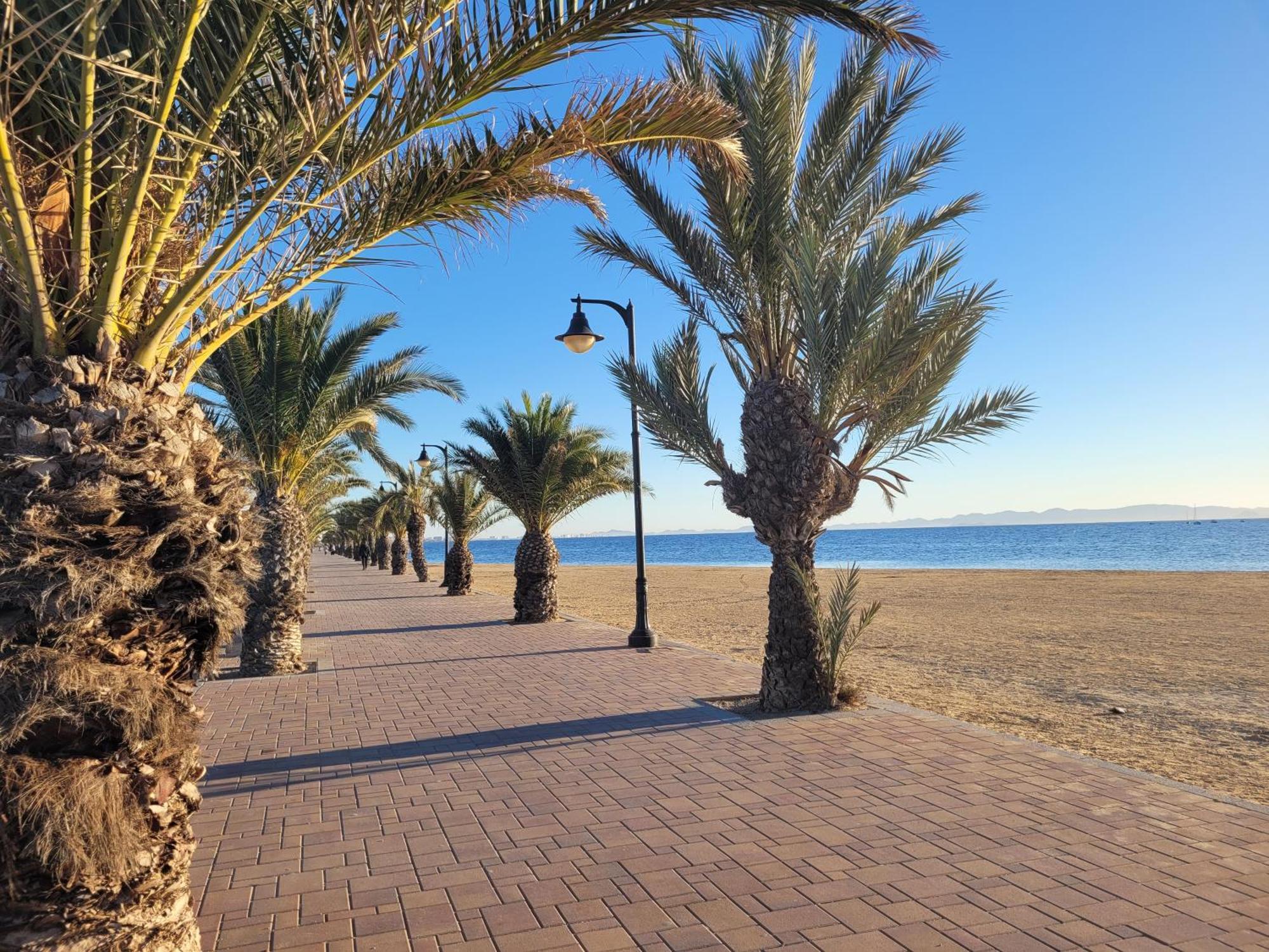 Casa Flamingo, Near The Beach! *